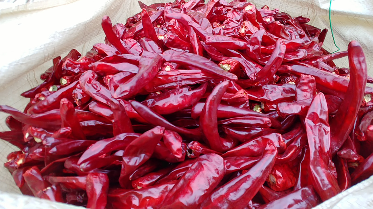 4759a81c33c985cfa36369f0bca7db7e_1757898839_5623.jpg