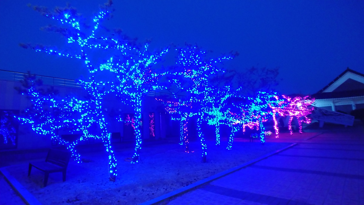 9a521b55215c8cdd9fdec78dcb34cc9a_1771919555_8439.jpg